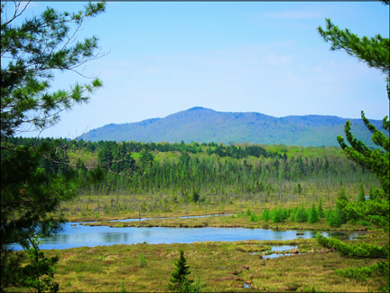 Adirondack Wetlands:  Saint Regis Mountain and Heron Marsh from the trail in front of the Paul Smiths VIC Building